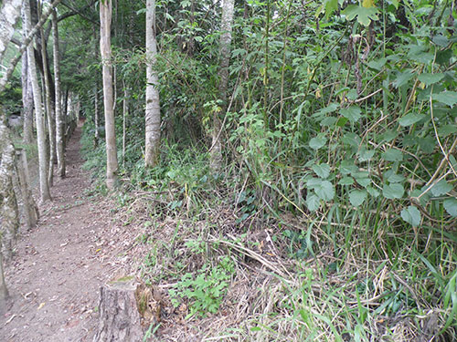 Terreno de 1500m² em Serra Da Cantareira
