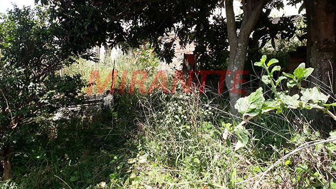 Casa terrea de 250m² com 3 quartos em Vila Nivi