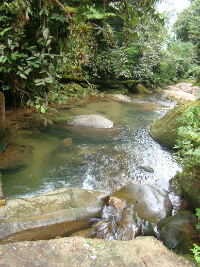 Terreno de 1625m² em CENTRO