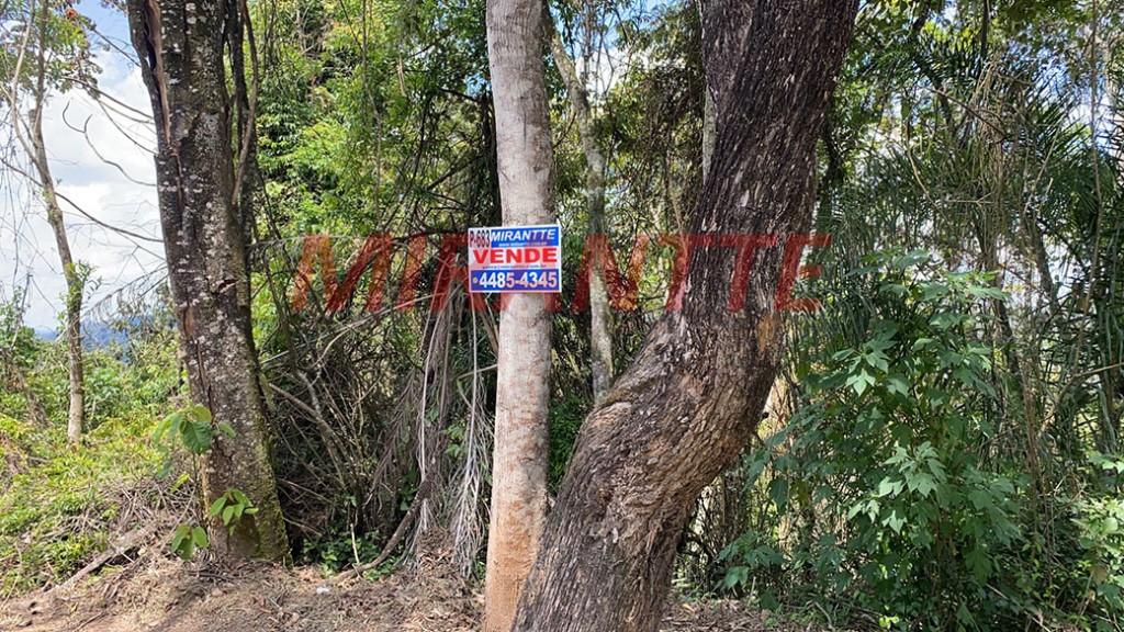 Terreno de 1140m² em Serra Da Cantareira
