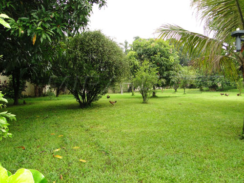 Terreno de 3754m² em Horto Florestal