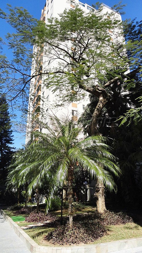 Apartamento de 92m² com 2 quartos em Barro Branco