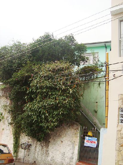 Casa terrea de 120m² com 3 quartos em Mandaqui