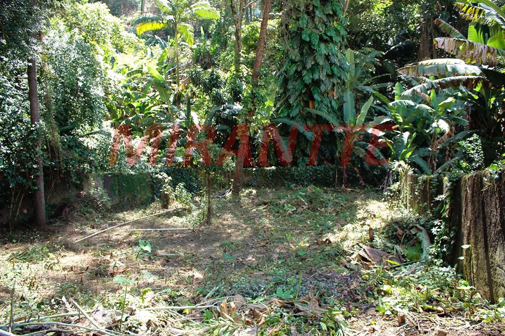 Sobrado de 400m² com 5 quartos em Vila Albertina