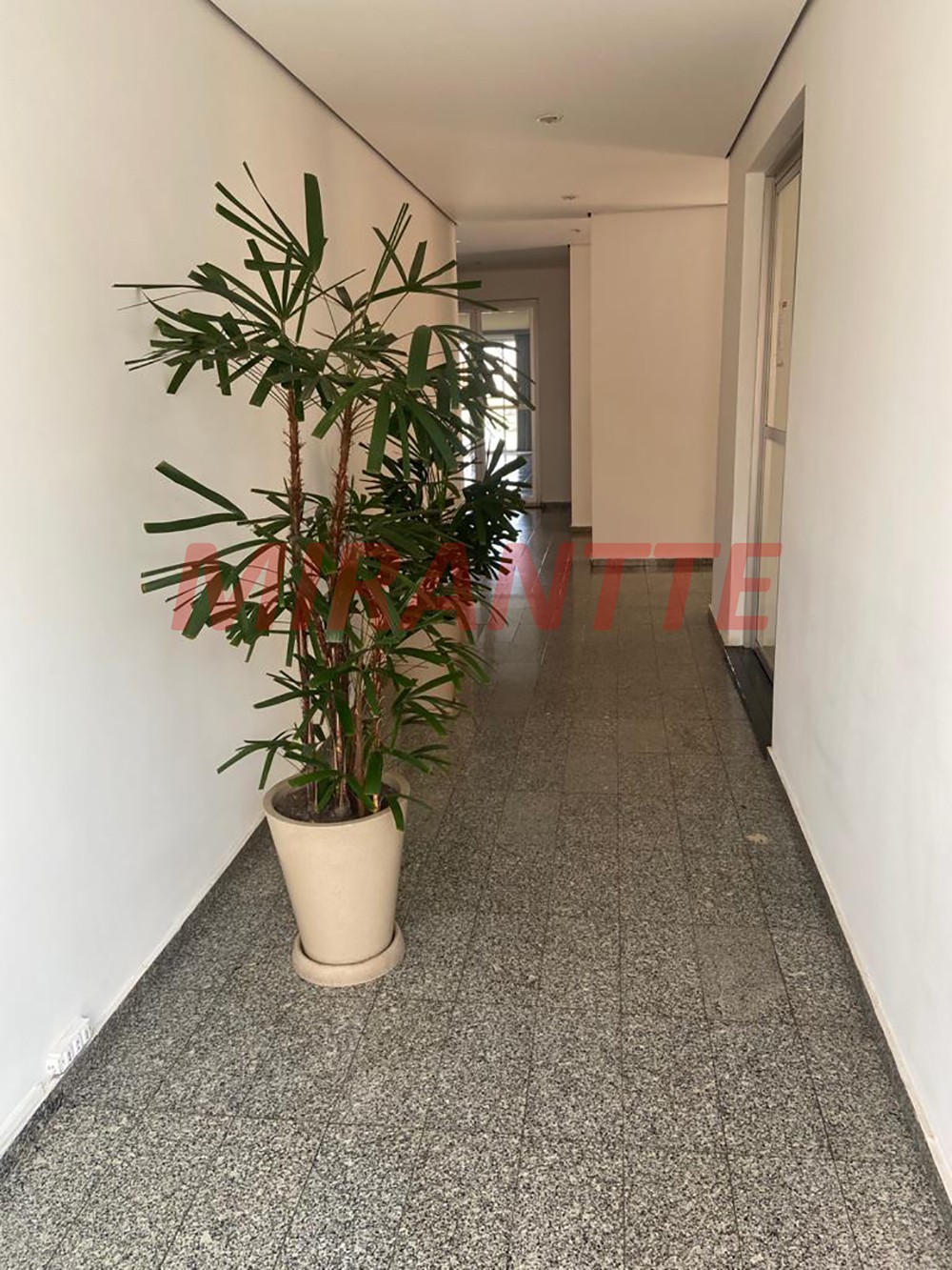 Apartamento de 50m² com 2 quartos em Tucuruvi