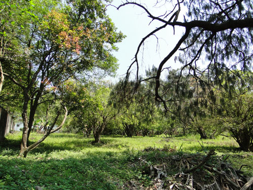 Terreno de 21325m² em Horto Florestal