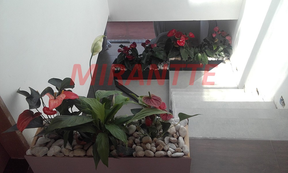Sobrado de 315m² com 4 quartos em Vila Albertina