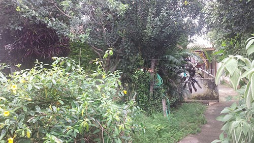 Terreno de m² com 2 quartos em Chora Menino