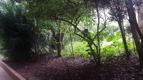 Terreno de m² com 2 quartos em Chora Menino