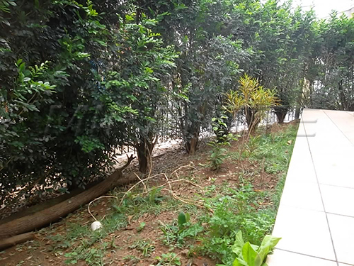 Casa terrea de 107m² com 2 quartos em Santana