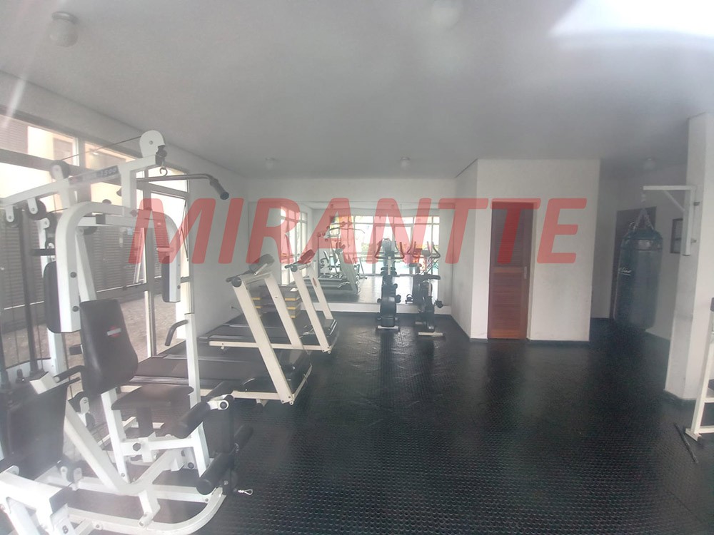 Apartamento de 76m² com 3 quartos em Parque Mandaqui