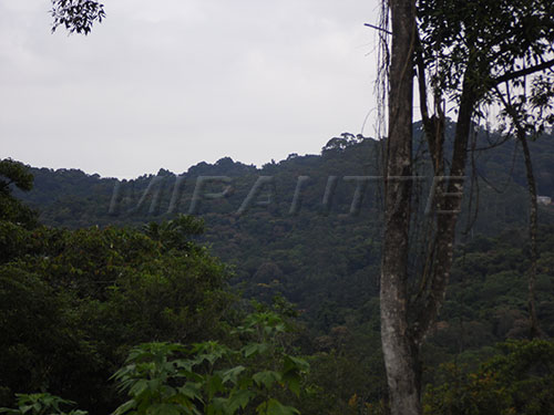 Terreno de 2560m² em Serra Da Cantareira