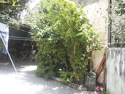 Casa terrea de 309m² em Vila Mazzei