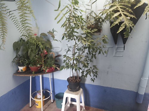 Casa terrea de 309m² em Vila Mazzei