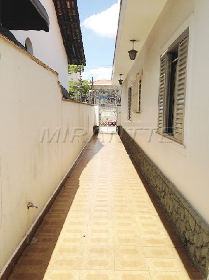 Casa terrea com 3 quartos em Tucuruvi