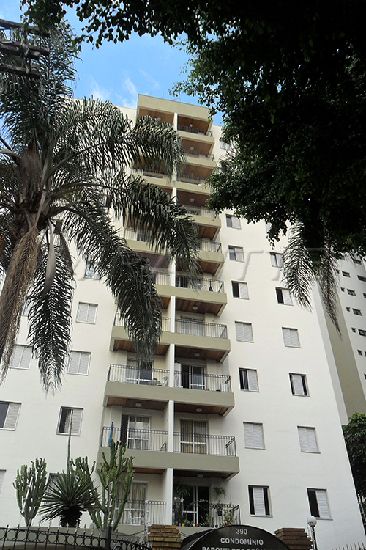 Apartamento de 76m² com 3 quartos em Mandaqui