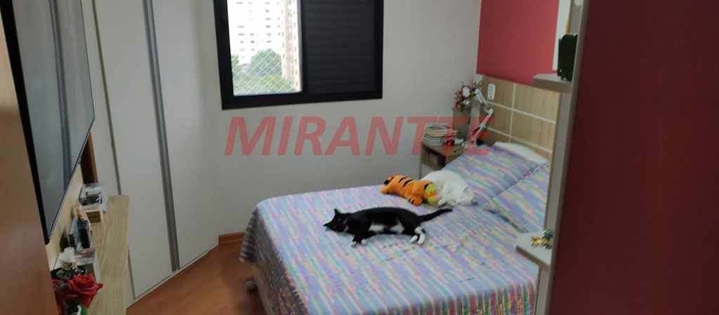 Apartamento de 103m² com 3 quartos em Santa Teresinha