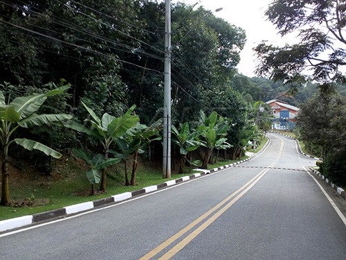 Terreno de 1050m² em Serra Da Cantareira