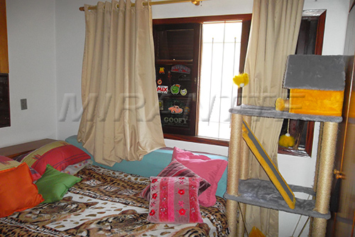 Casa terrea com 3 quartos em Lauzane Paulista