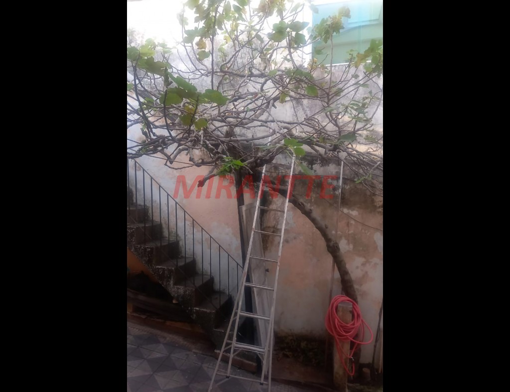 Casa terrea de 275m² com 6 quartos em Vila Constança