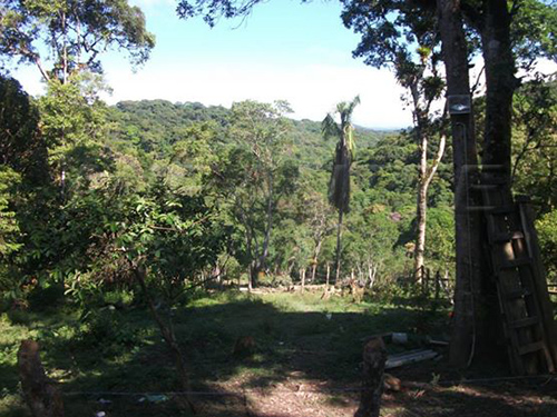 ChÁcara de 200m² com 3 quartos em Jardim Eliana A