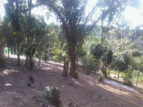 ChÁcara de 200m² com 3 quartos em Jardim Eliana A