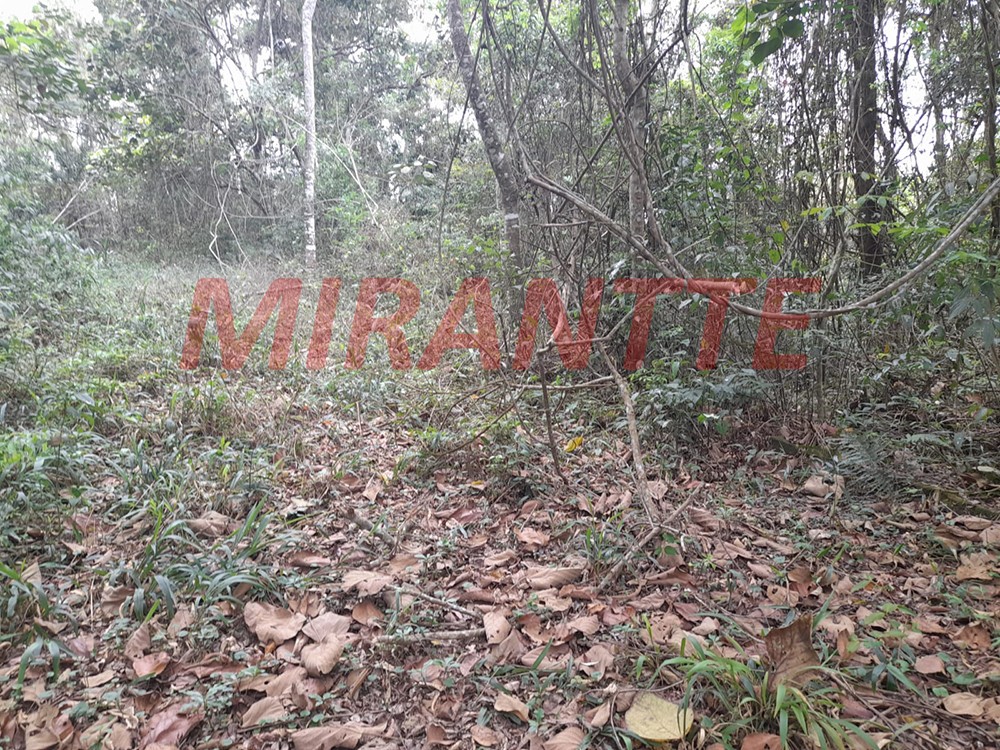Terreno de 1462m² em Serra Da Cantareira