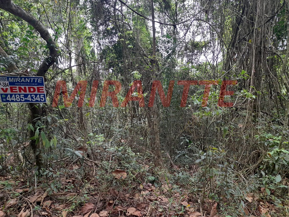Terreno de 1462m² em Serra Da Cantareira