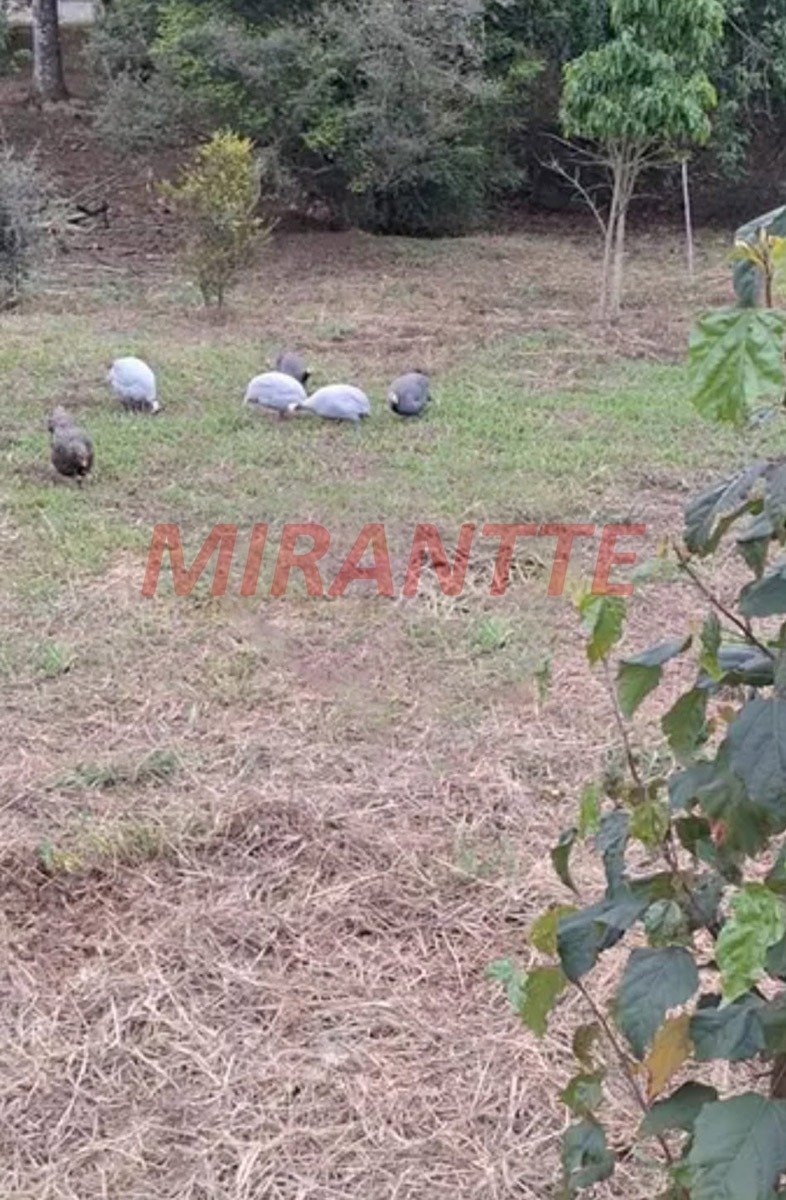 ChÁcara de 650m² com 5 quartos em Bom Jesus dos Perdões