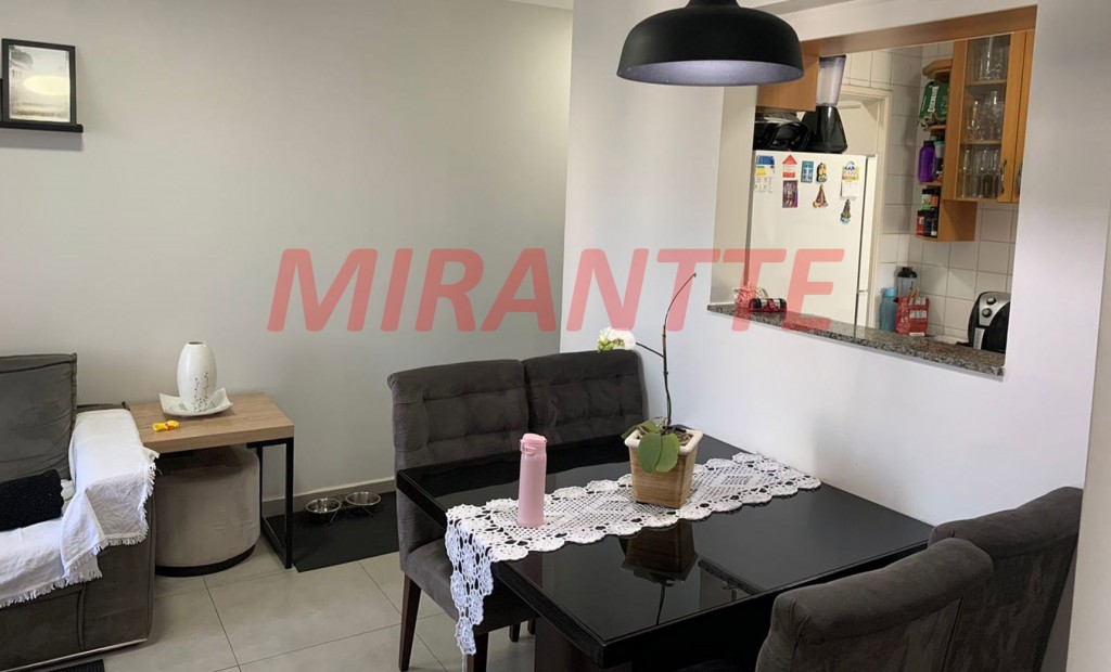 Apartamento com 2 quartos em Vila Amelia
