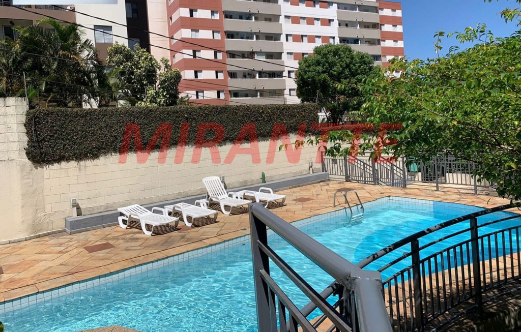 Apartamento com 2 quartos em Vila Amelia