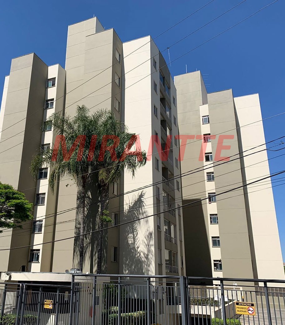 Apartamento com 2 quartos em Vila Amelia