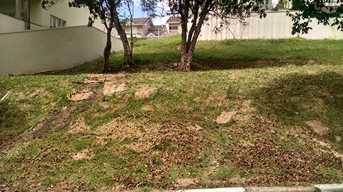 Terreno de 0m² em Horto Florestal