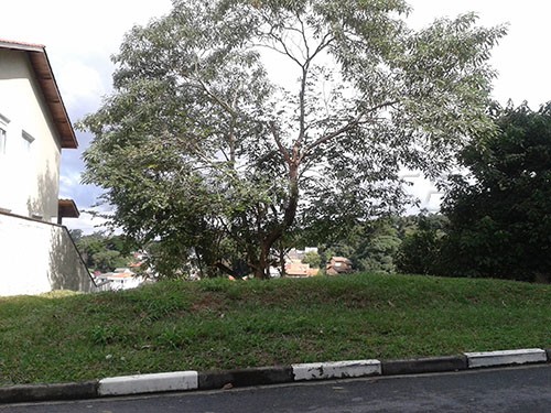 Terreno de 313m² em Horto Florestal
