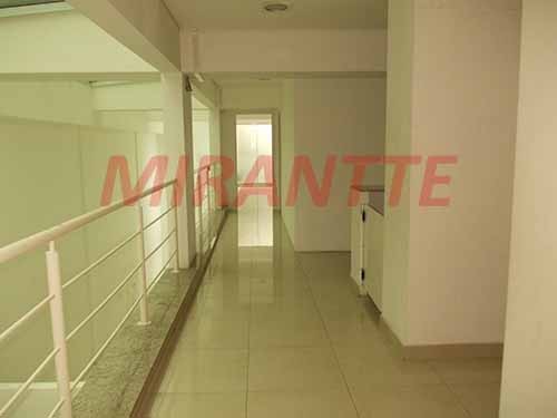 Comercial de 1000m² em Água Fria