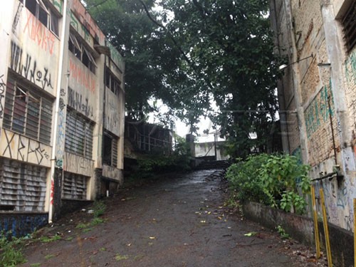 Galpao de 5000m² em Horto Florestal
