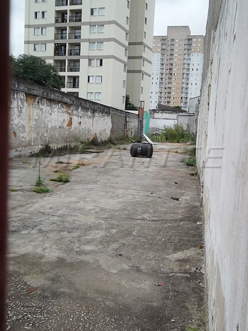 Terreno de 351m² em Limão