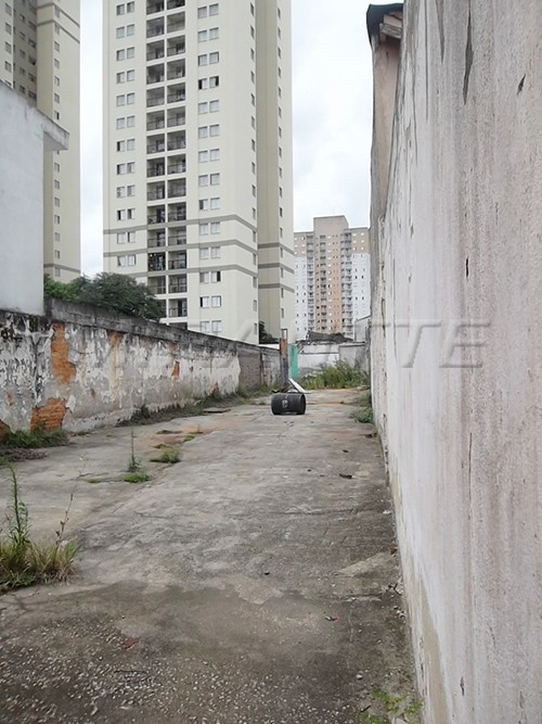 Terreno de 351m² em Limão