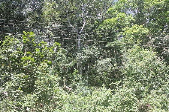 Terreno de 1359m² em Serra Da Cantareira
