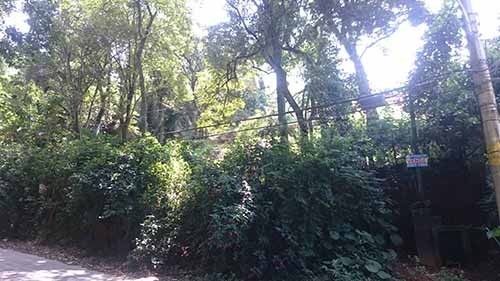 Terreno de 980m² em Horto Florestal