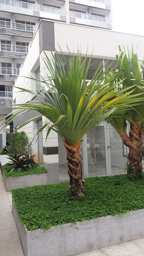 Comercial de 36m² em Barra Funda