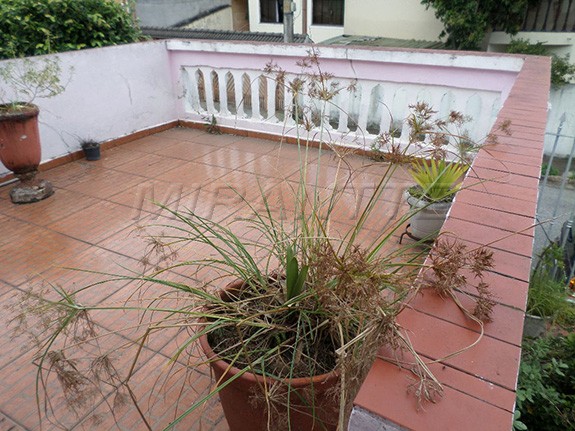 Terreno de 320m² com 2 quartos em Vila Nivi