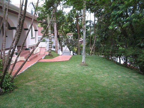 Casa terrea de 250m² com 4 quartos em Horto Florestal