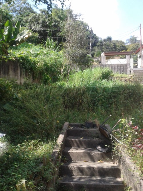Casa terrea de 450m² com 3 quartos em Vila Irmaos Arnoni
