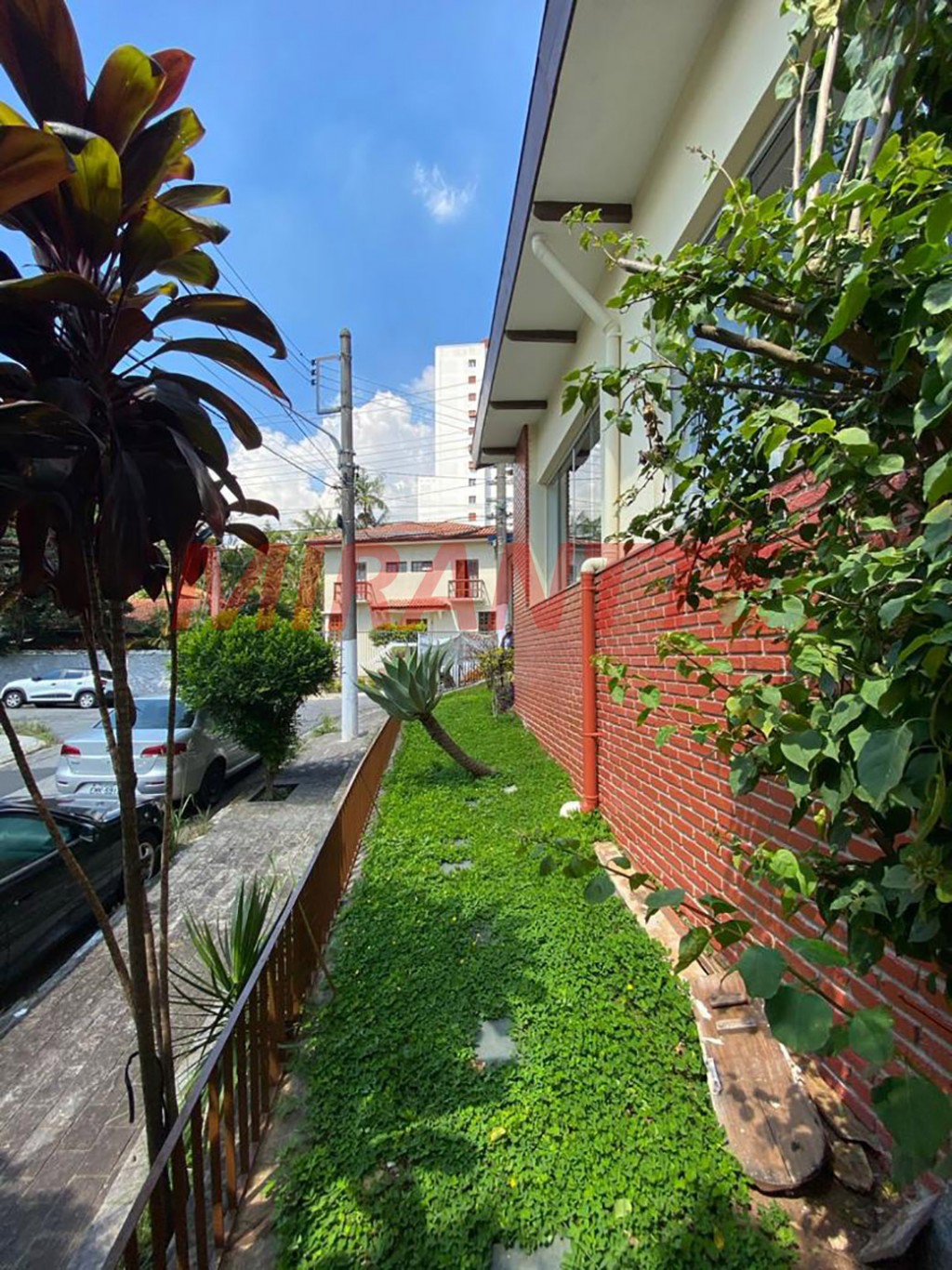 Casa terrea de 250m² com 3 quartos em Tucuruvi