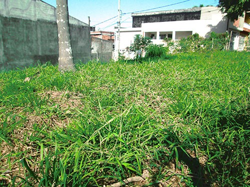 Terreno de 10m² em Jardim São João