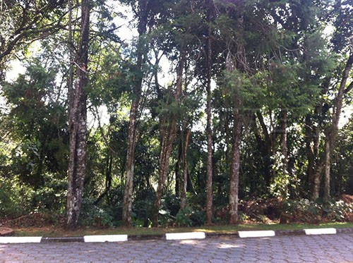 Terreno de 37m² em Serra Da Cantareira