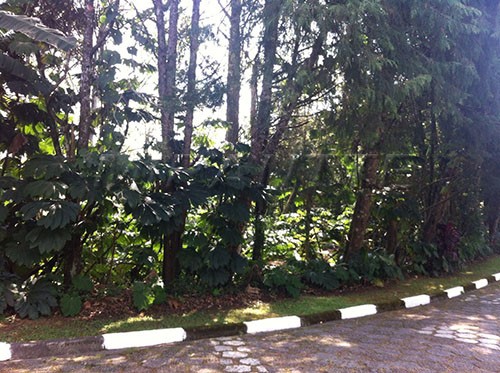 Terreno de 37m² em Serra Da Cantareira
