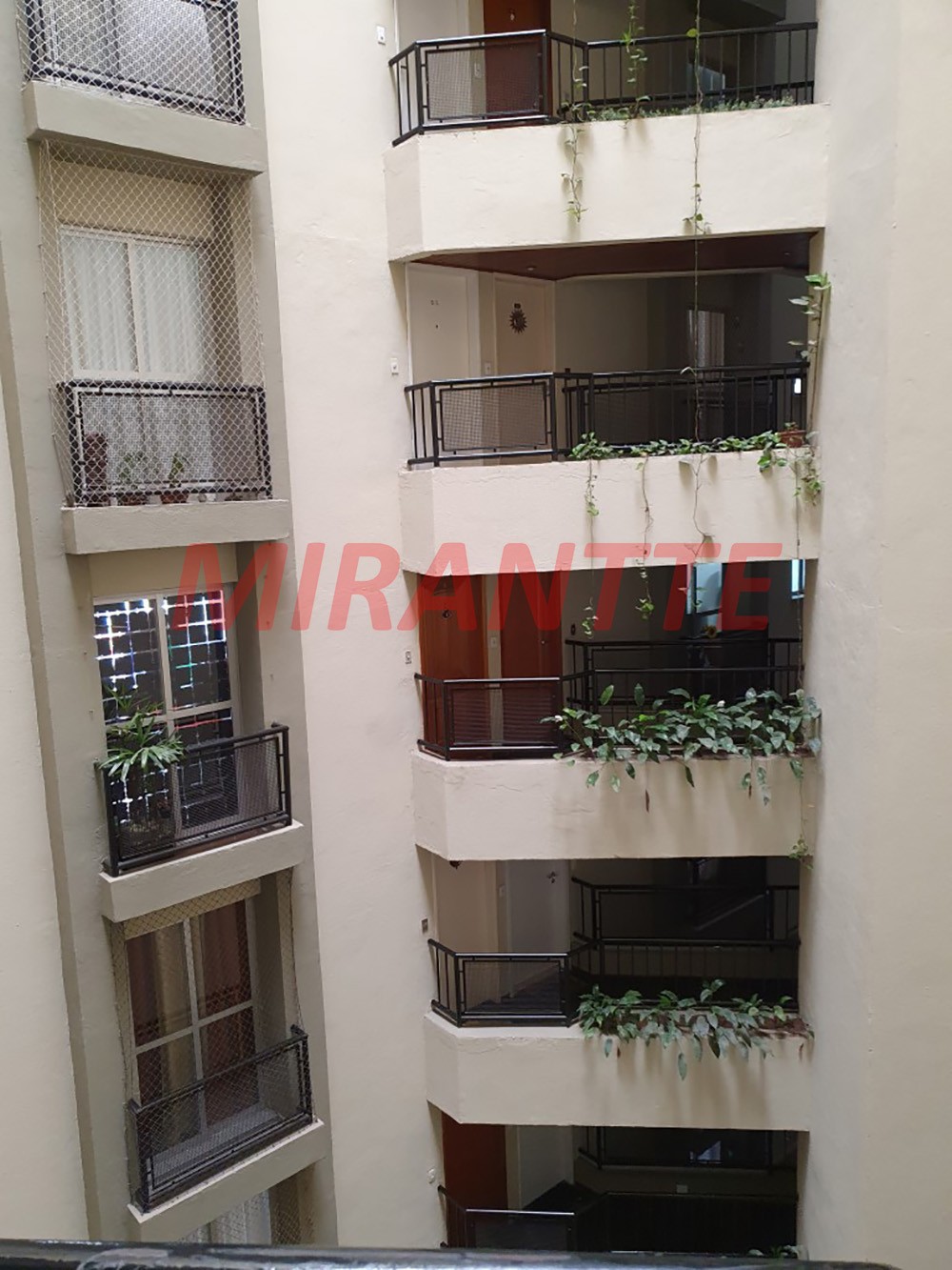 Apartamento de 65m² com 2 quartos em Parque Mandaqui