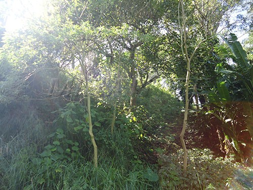 Terreno de 298m² em Mandaqui